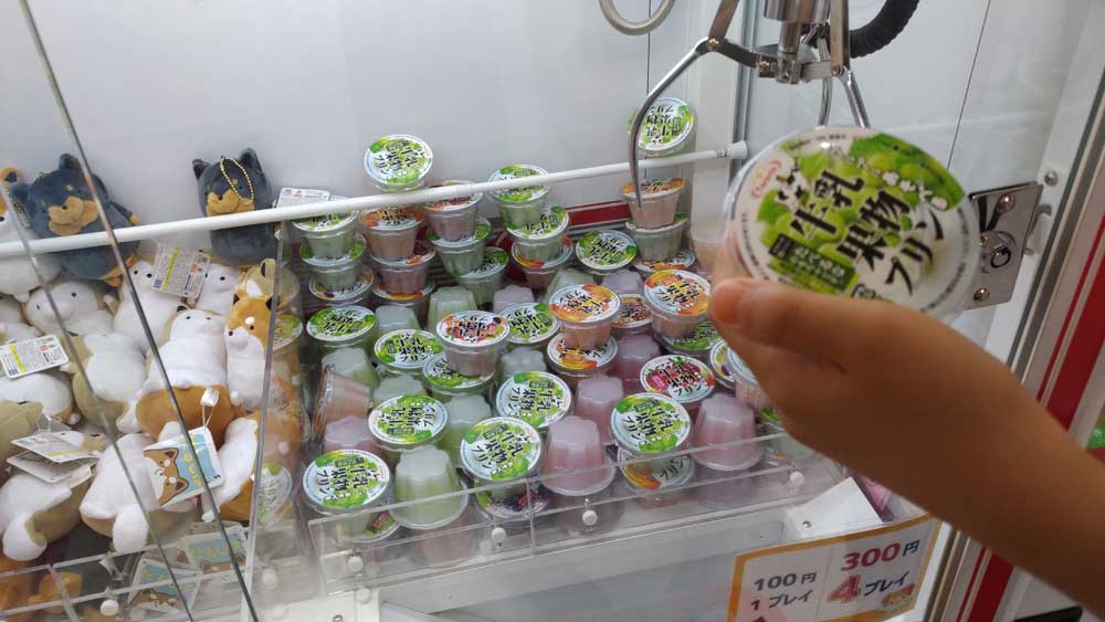 牛乳果物プリン