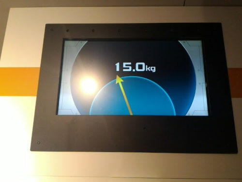 観察結果を確認