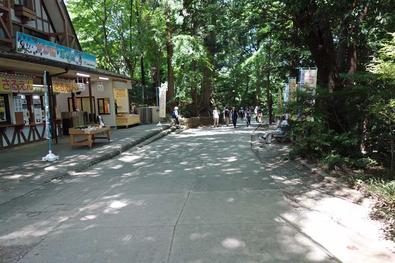 途中にタコ杉やサル園、薬王院などを通っていきます