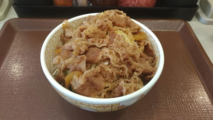 すき家の牛丼ライトの見た目